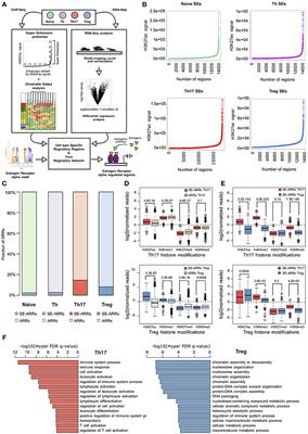 Pregnancy Epigenetic Signature in T Helper 17 and T Regulatory Cells in Multiple Sclerosis